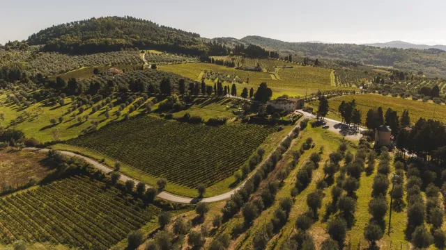 Il Chianti Rufina si afferma tra le migliori regioni vinicole d’Europa per la rivista Forbes