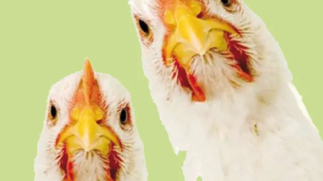 Descrizione immagine non disponibile