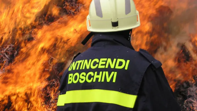 Descrizione immagine non disponibile