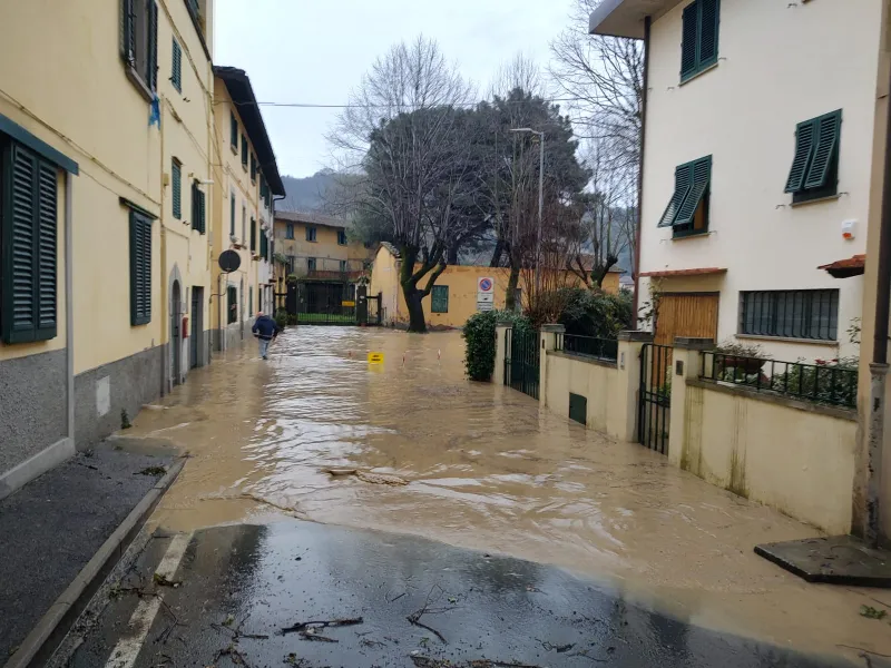 Eccezionali eventi meteorologici verificatisi dal 14 marzo 2025