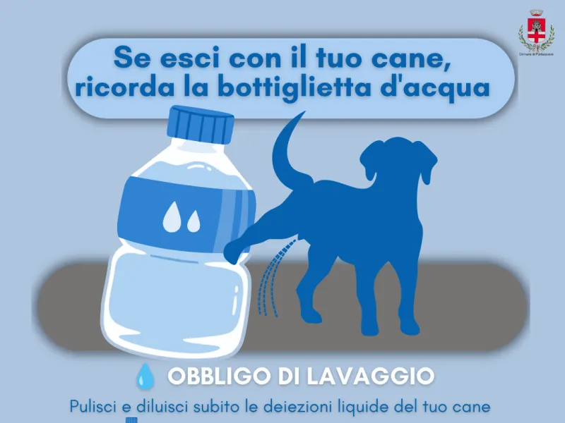 Nuove regole a Pontassieve per il decoro urbano e la pulizia
