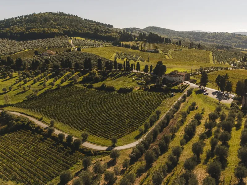 Il Chianti Rufina si afferma tra le migliori regioni vinicole d’Europa per la rivista Forbes