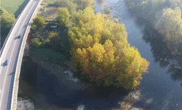 "Risagomatura" del fiume Sieve alla confluenza col fiume Arno. Ottobre 2022
